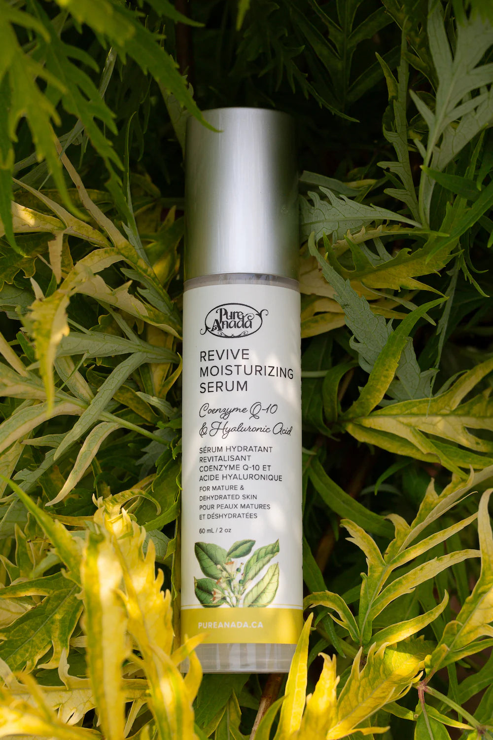 Pure Anada Revive Moisturizing
