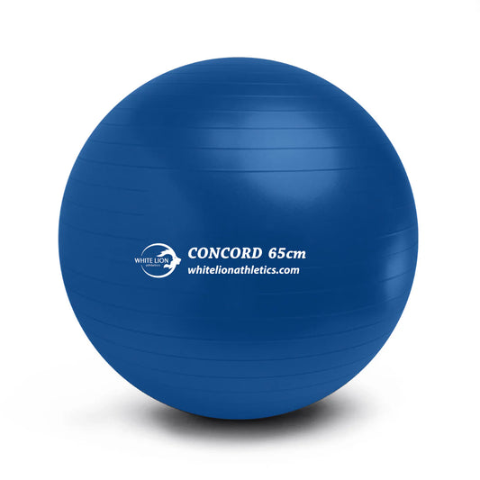 White Lion | Anti-Burst Stability Ball 65cm